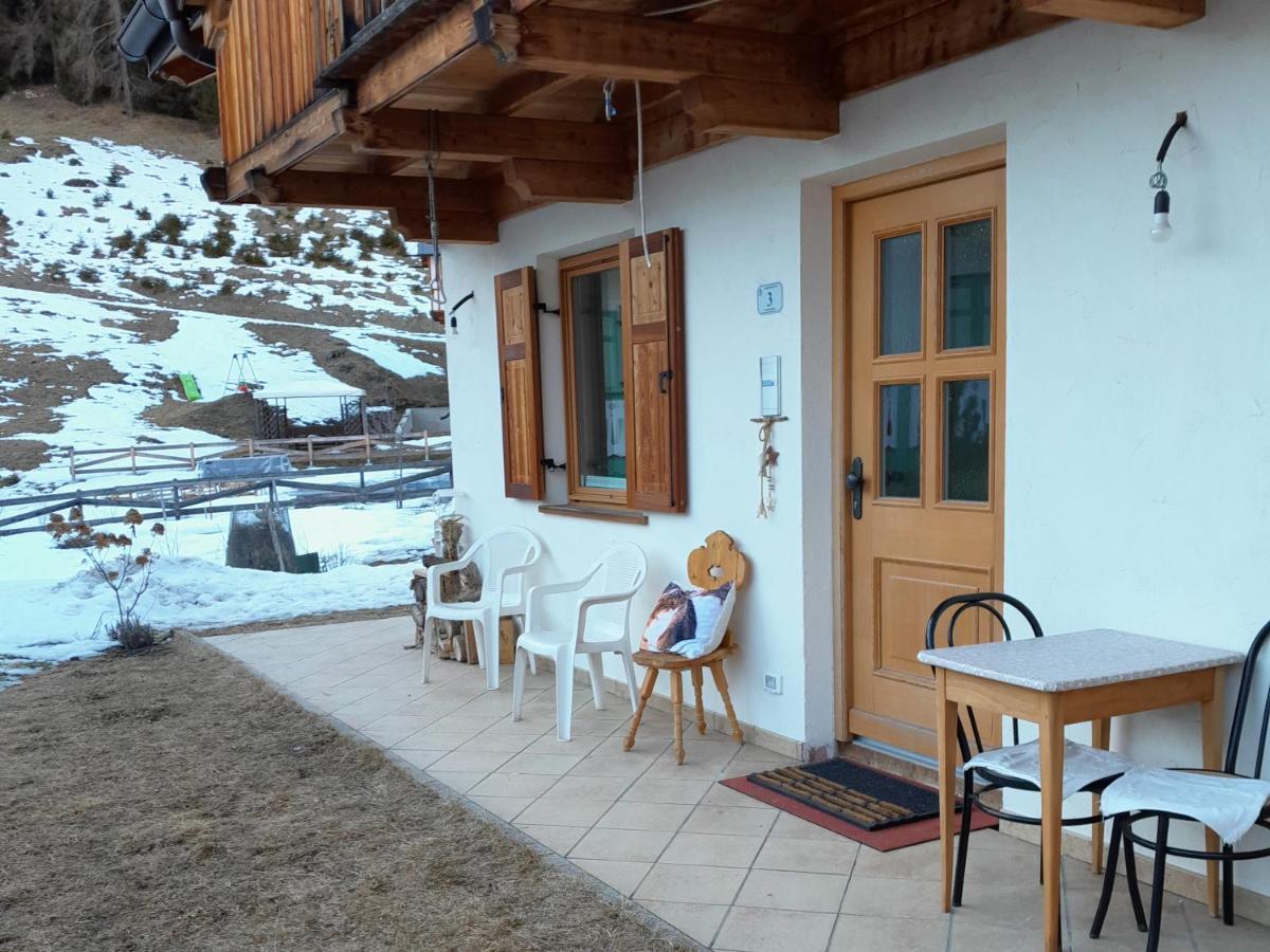 Paragole Pera Bagian luar foto